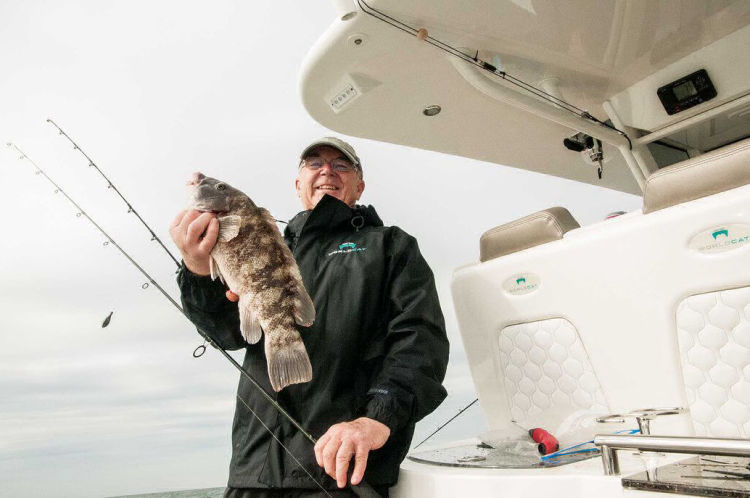 POWERCAT CENTER CONSOLE BOATS