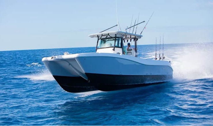 World Cat Allrounder